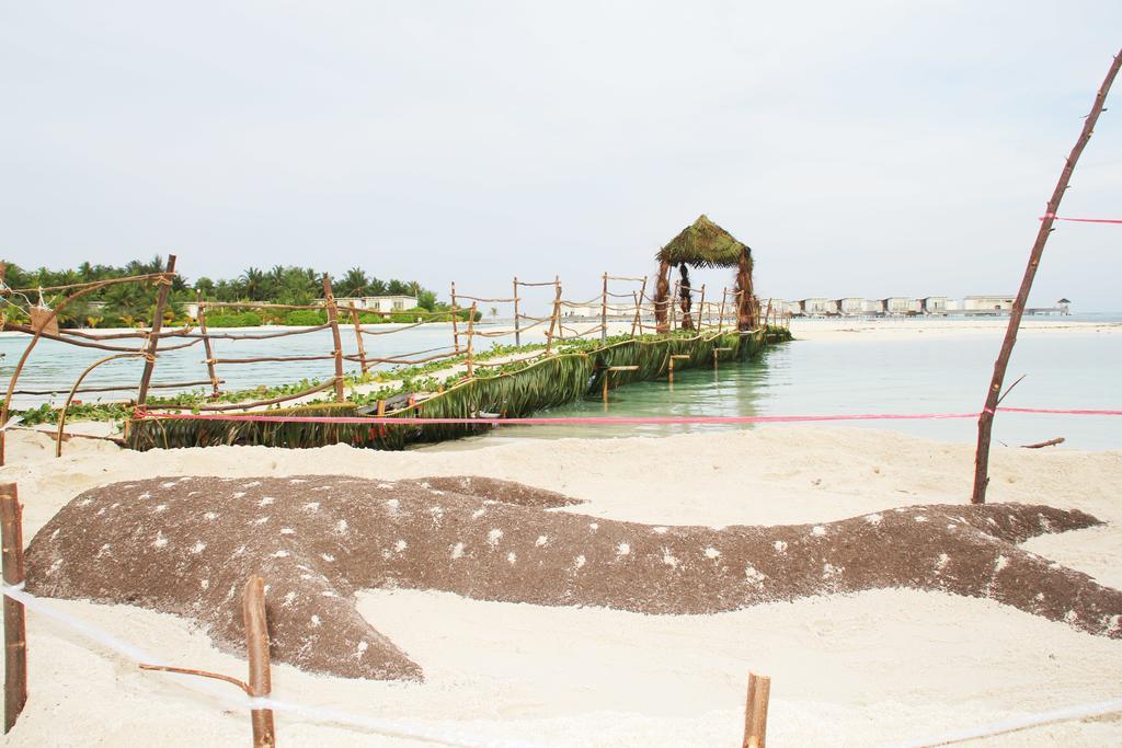 Kaafu Inn Guraidhoo Eksteriør billede