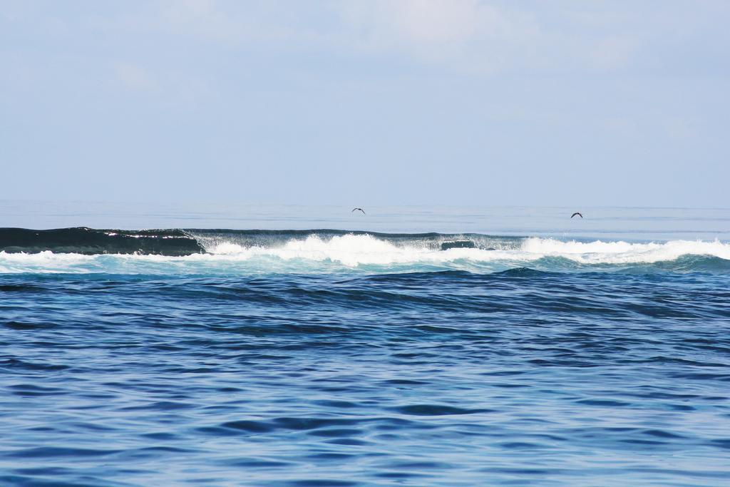Kaafu Inn Guraidhoo Eksteriør billede